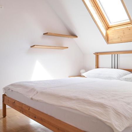 Ljubljana City Dragon Apartment 外观 照片